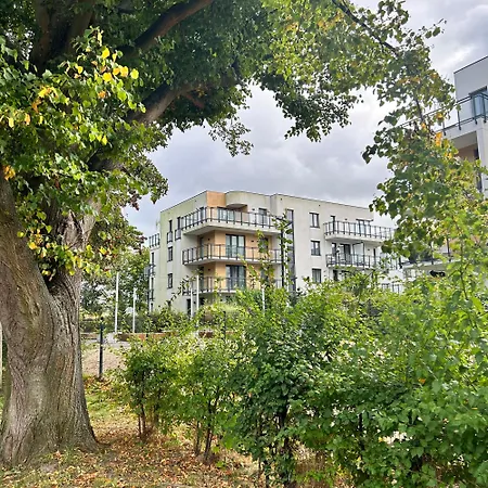 Wypoczeci I Zrelaksowani Nexo 帕克