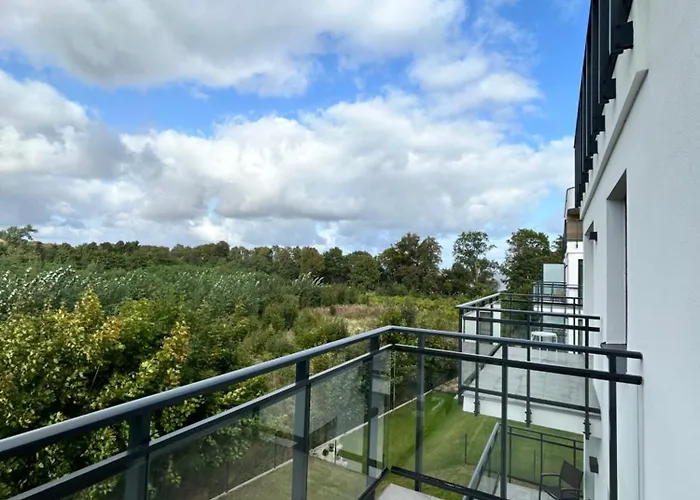 Wypoczeci I Zrelaksowani Nexo Puck