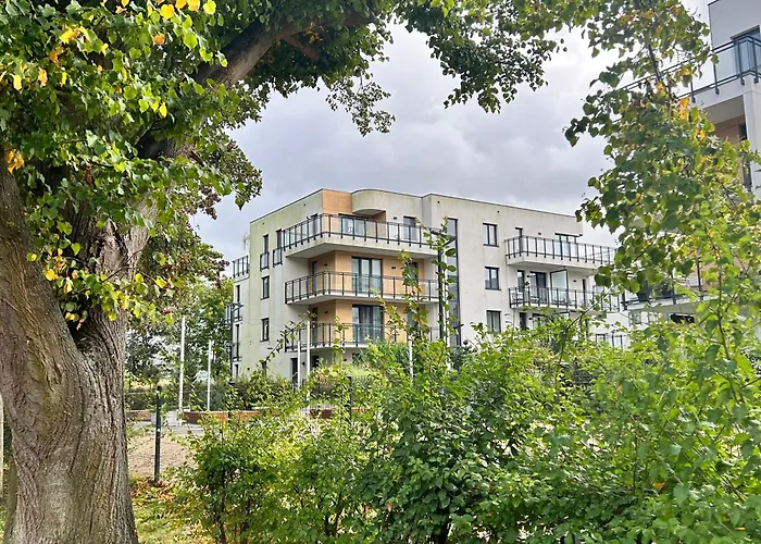 Wypoczeci I Zrelaksowani Nexo Puck